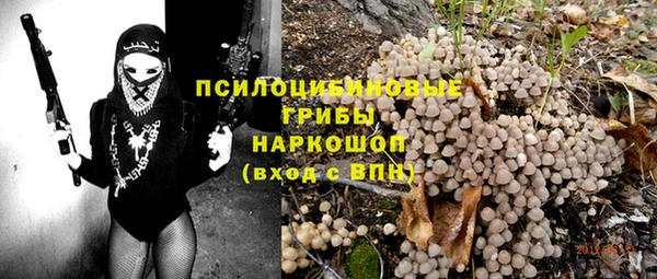 a pvp Новокубанск