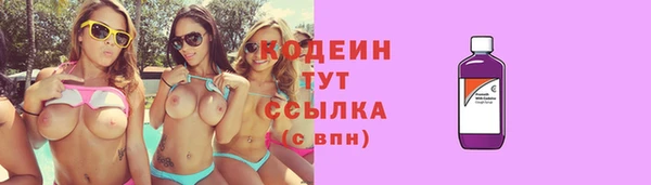 дурь Новодвинск