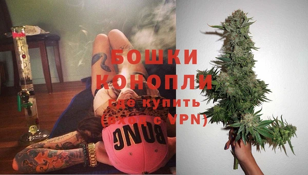 герыч Бикин