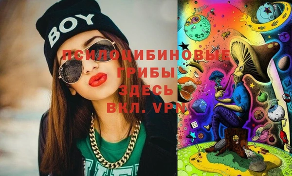 дурь Новодвинск
