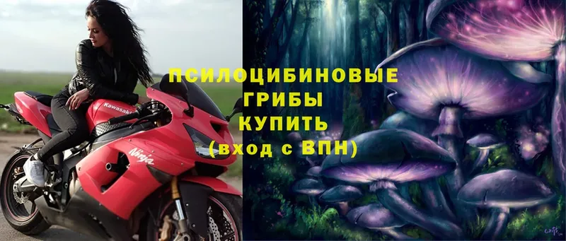 маркетплейс телеграм  kraken как зайти  Псилоцибиновые грибы Psilocybe  Улан-Удэ  купить наркотики сайты 